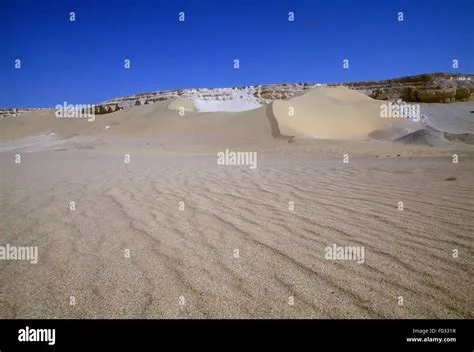  Wadi El-Rayan! Một Biển Ngọt Nét giữa Lòng Sa Mạc