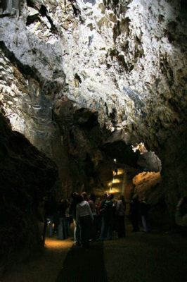  Caves of Wonder: Unlocking the Mysteries of the Sterkfontein Caves