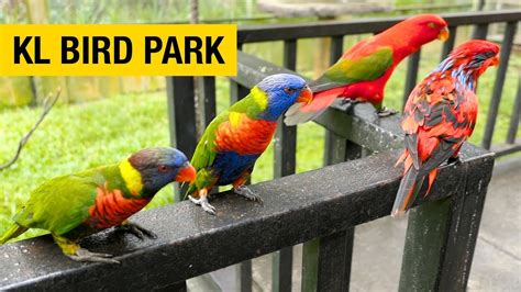 Kuala Lumpur Bird Park: Trải nghiệm Thiên Đường Đa Dạng Sinh Vật với Hơn 3,000 Chim