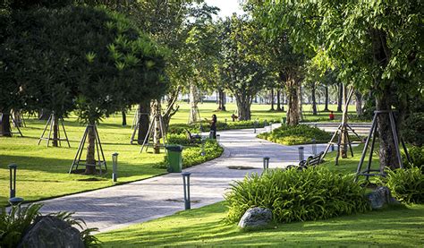  Parque da Cidade: Mở rộng không gian xanh và thiên đường cho người yêu thể thao!