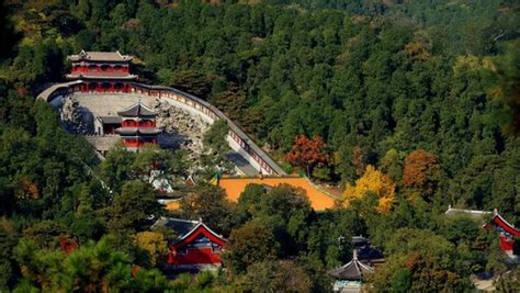  Xiangshan Botanical Garden:  Thú vị bởi sự đa dạng sinh học và vẻ đẹp thơ mộng